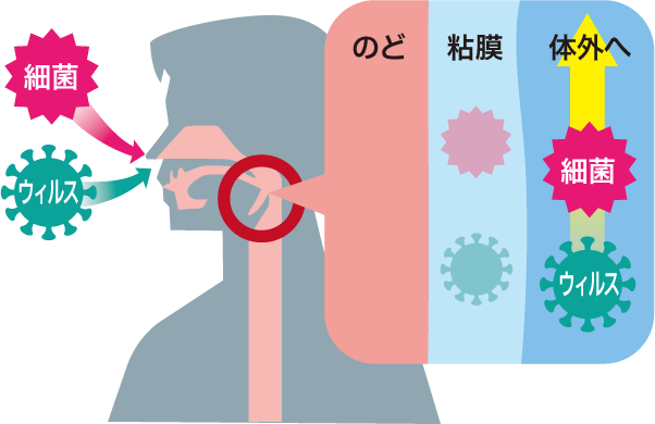 シオノギヘルスケアonline 感染症多層防御 うがい