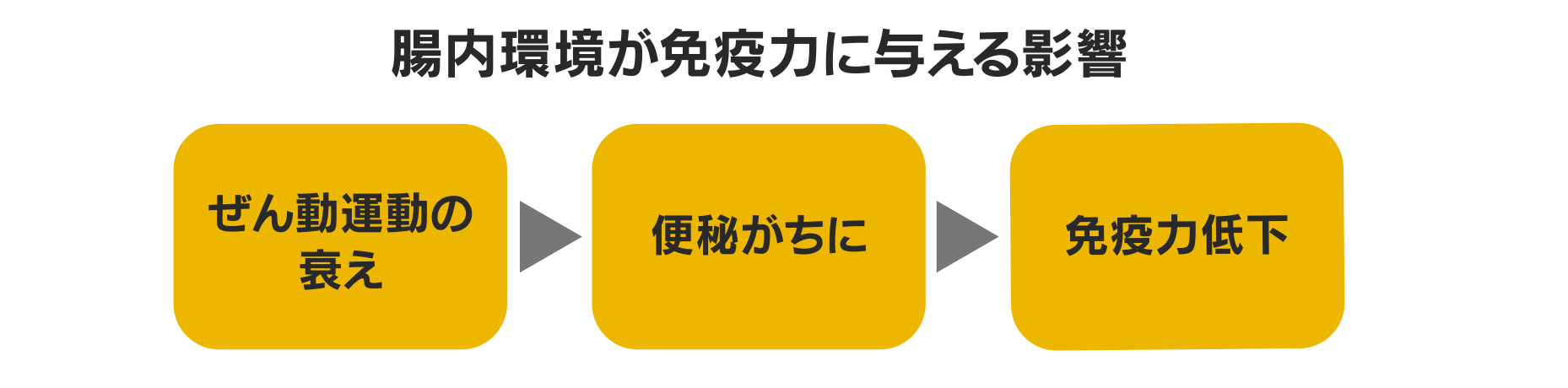 腸内環境が免疫力に与える影響