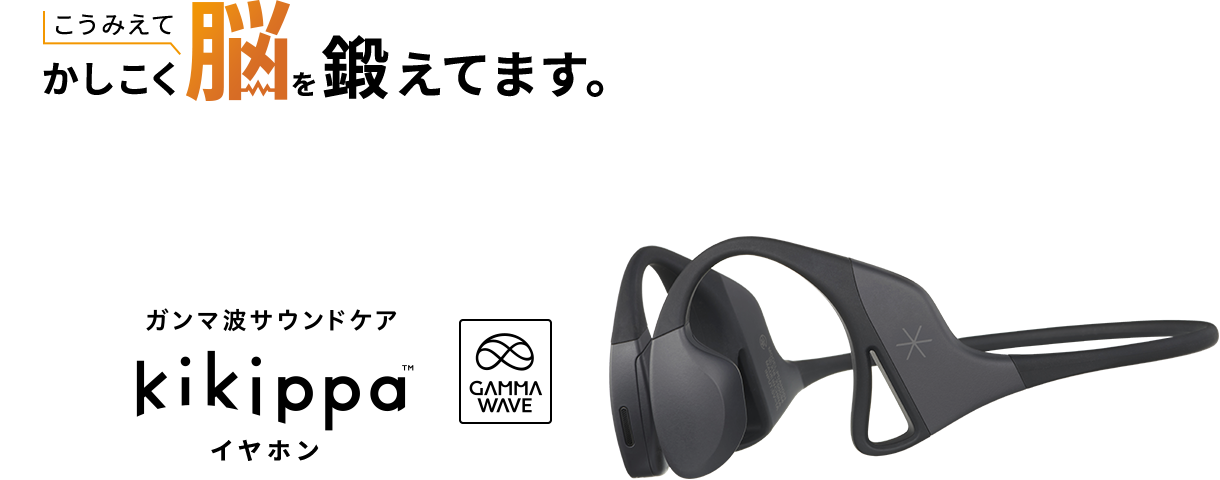 シオノギヘルスケア kikippa イヤホン ブラック ガンマ波サウンドケア ガンマ波サウンドケア kikippa イヤホン シオノギヘルスケア
