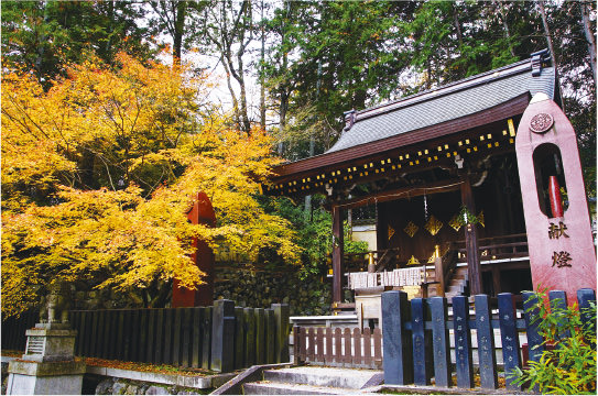 栲幡千千姫命（たくはたちぢひめのみこと）