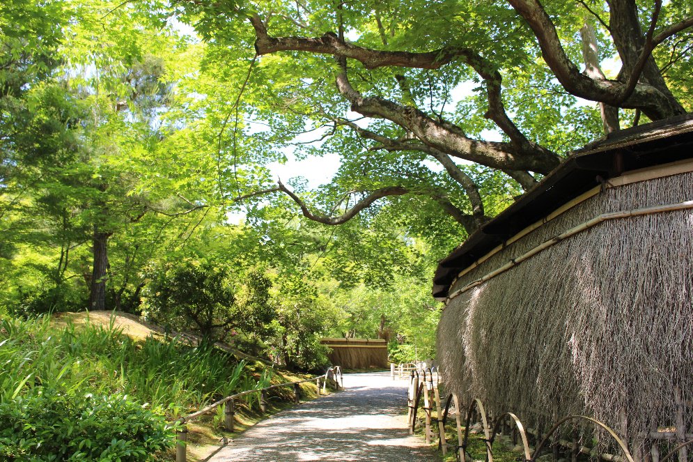 宝厳院垣