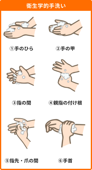 感染症多層防御wiki 感染対策に有効な手洗いの仕方 コラム シオノギ健康通販 感染症多層防御wiki 感染対策に有効な手洗いの仕方 コラム シオノギ健康通販