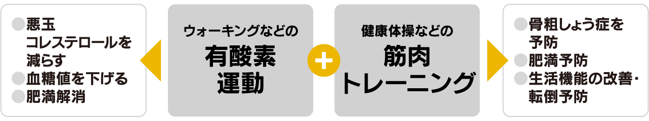 有酸素運動＋筋肉トレーニング