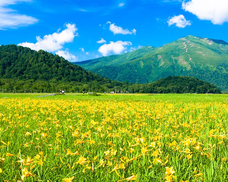 夏疲労を溜めない体で若さを保つ