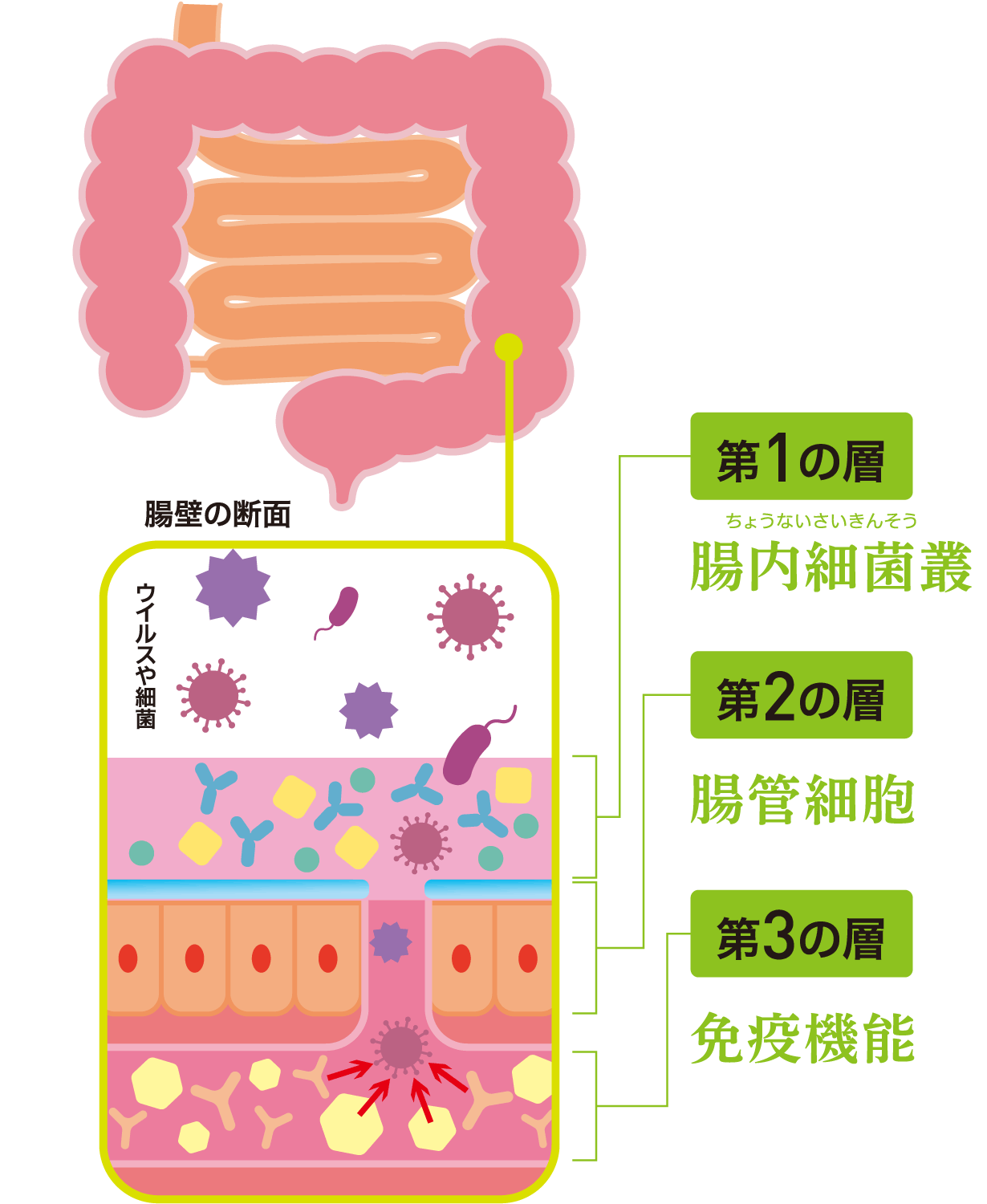 ３層の防御システム