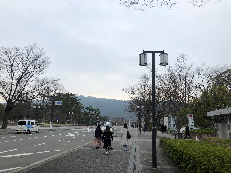 岡崎公園前の通りに立つ街灯