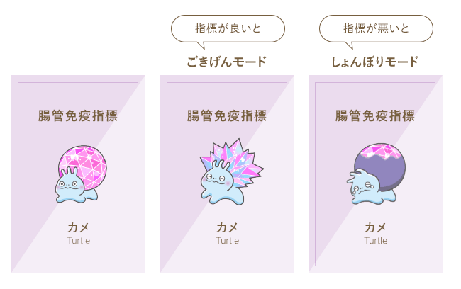 腸管免疫指標 カメ