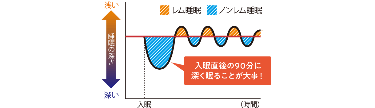 レム睡眠/ノンレム睡眠