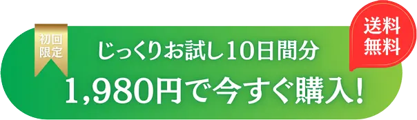 1,980円で今すぐ購入！