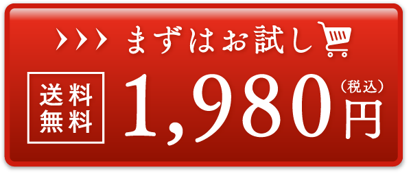 まずはお試し 送料無料 1,980円（税込）