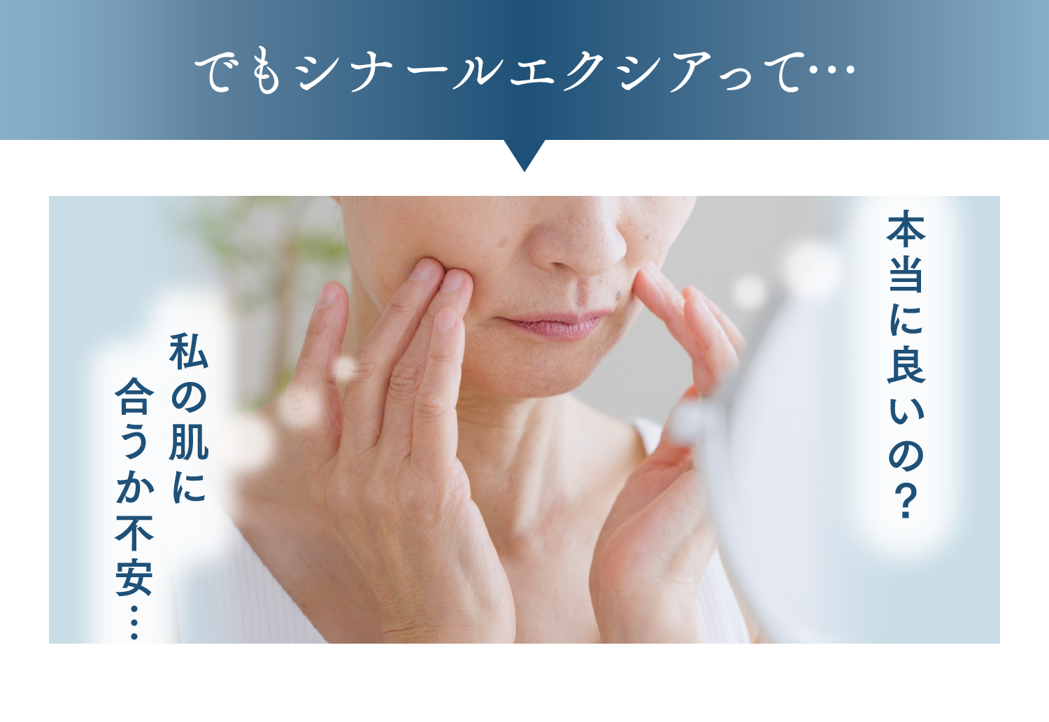 でもシナールエクシアって…