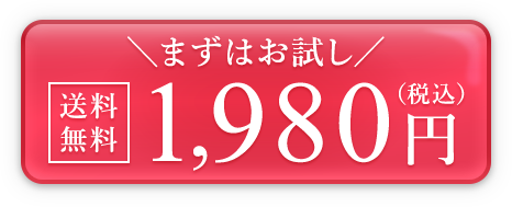 まずはお試し送料無料1,980円