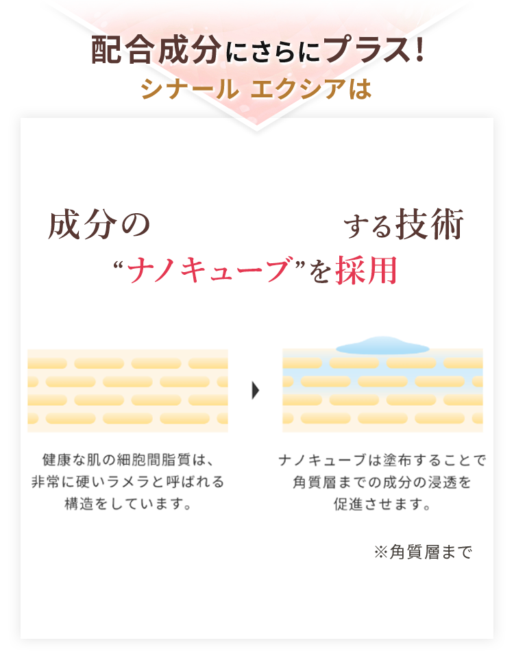 成分だけではありません！シナール エクシアは成分の浸透※を促進する技術 “ナノキューブ”を採用