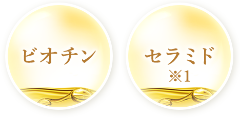 ビオチン セラミド