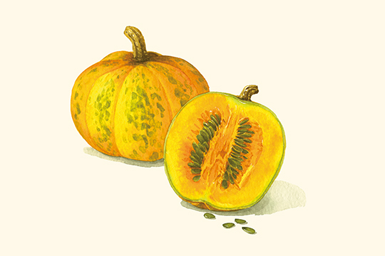 シオノギの健康食品シリーズ「かぼちゃ種子＋イソサミジン」