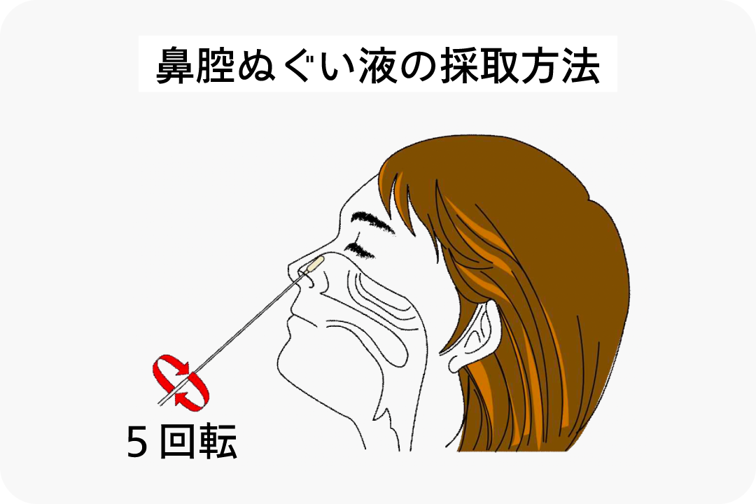 鼻腔ぬぐい液の採取方法のイラスト