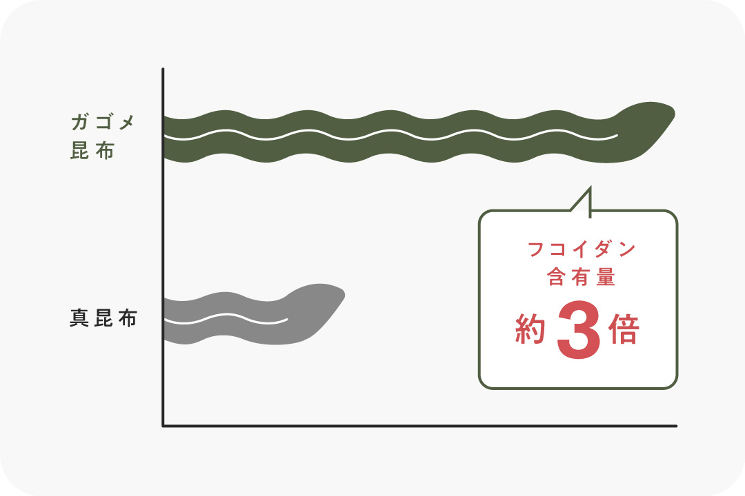 SHIONOGIのガゴメ昆布フコイダンシリーズ「フコイダンPROTECT サプリ５０」