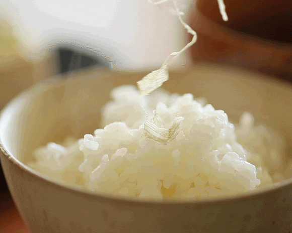 がごめとろろ昆布60g がごめとろろ昆布60g
