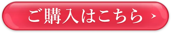 1,980円で今すぐ購入！