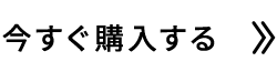 今すぐ購入する